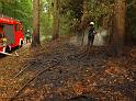 Waldbrand Bergisch Gladbach Bensberg P181